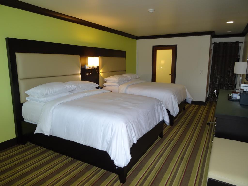 Hotel Azura Santa Rosa Room photo